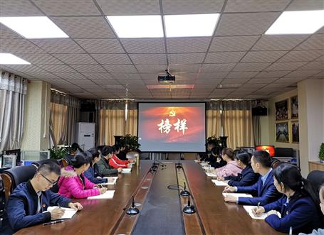 向榜樣看齊，做合格黨員