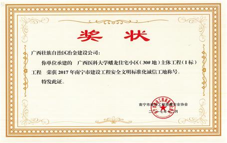 南寧分公司四個(gè)項(xiàng)目獲表彰！