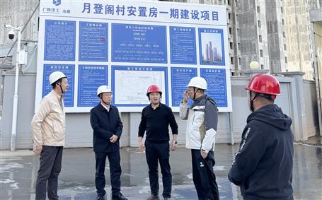 覃振華到西安項目調(diào)研指導