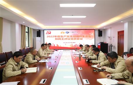 廖立波、唐峰、何勇以普通黨員身份參加所在黨支部2022年度組織生活會(huì)